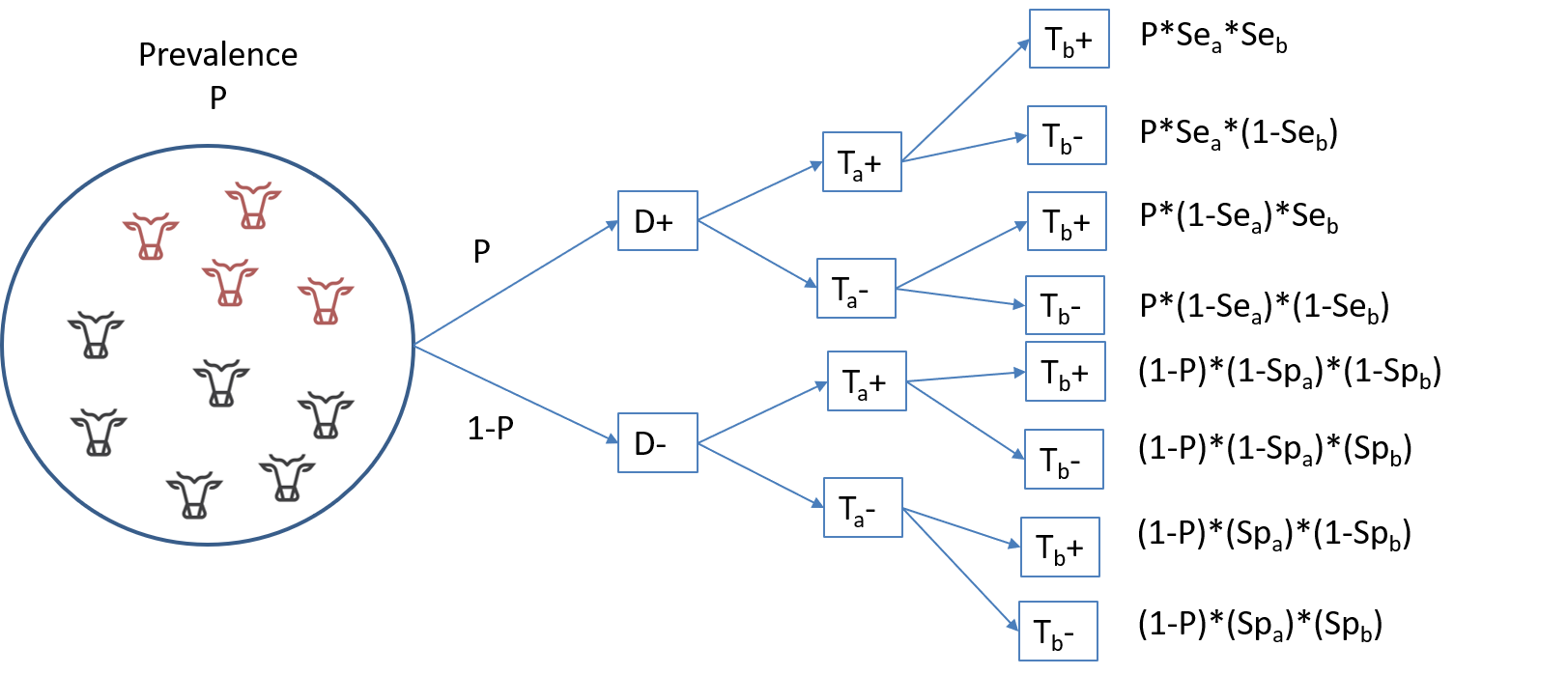 Illustration of the different potential results when applying two conditionally independent tests in a population.